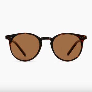 Quince Noah Polarized Acetate Sunglasses Tortoise with Brown Lenses